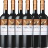 Weine Montes Winery Limited Selection Cabernet Sauvignon Carmenère 6x0,75l