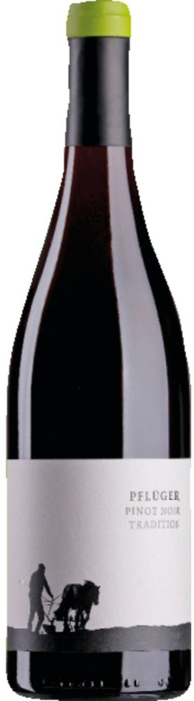 Weingut Pflüger Tradition Pinot Noir trocken 0,75l Weine